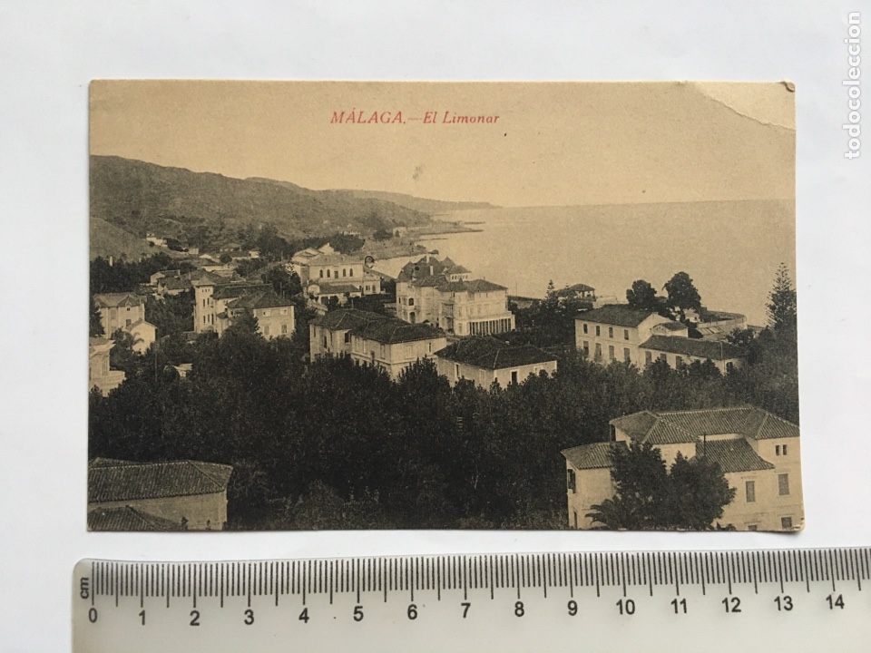 Postales: POSTAL. MALAGA. EL LIMONAR. EDICION FERRER ESCOBAR.