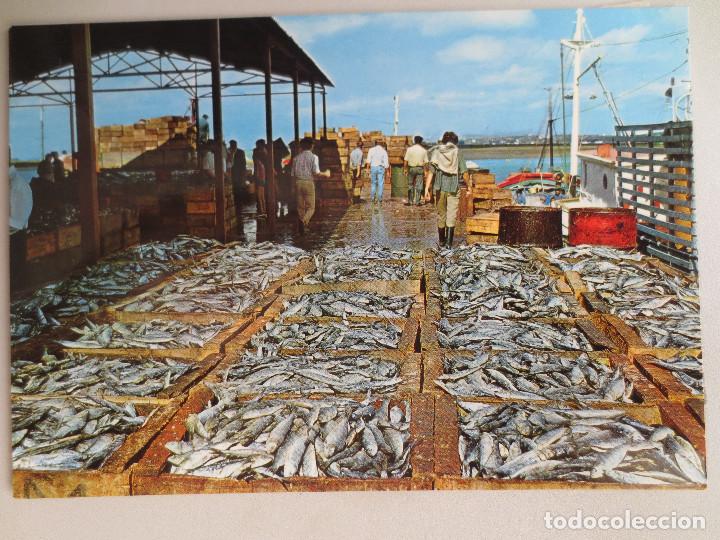 Postales: isla cristina