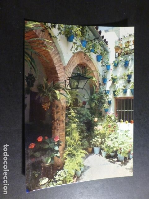 Postales: PATIO ANDALUZ - Foto 1