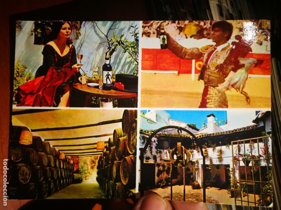 Postales: Postal Bodegas Campos de C&oacute;rdoba Degustaci&oacute;n de Moriles Antonio El Cordob&eacute;s y su Moriles dan la vuel