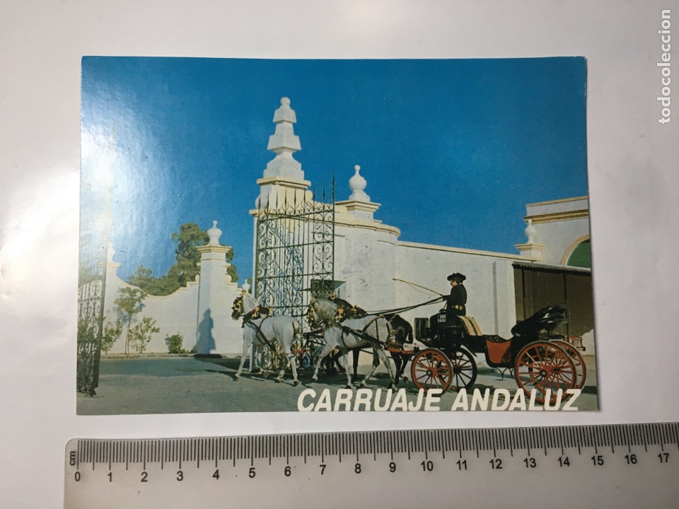 Postales: POSTAL. PUERTO DE SANTA MAR&Iacute;A. CARRUAJE T&Iacute;PICO ANDALUZ.