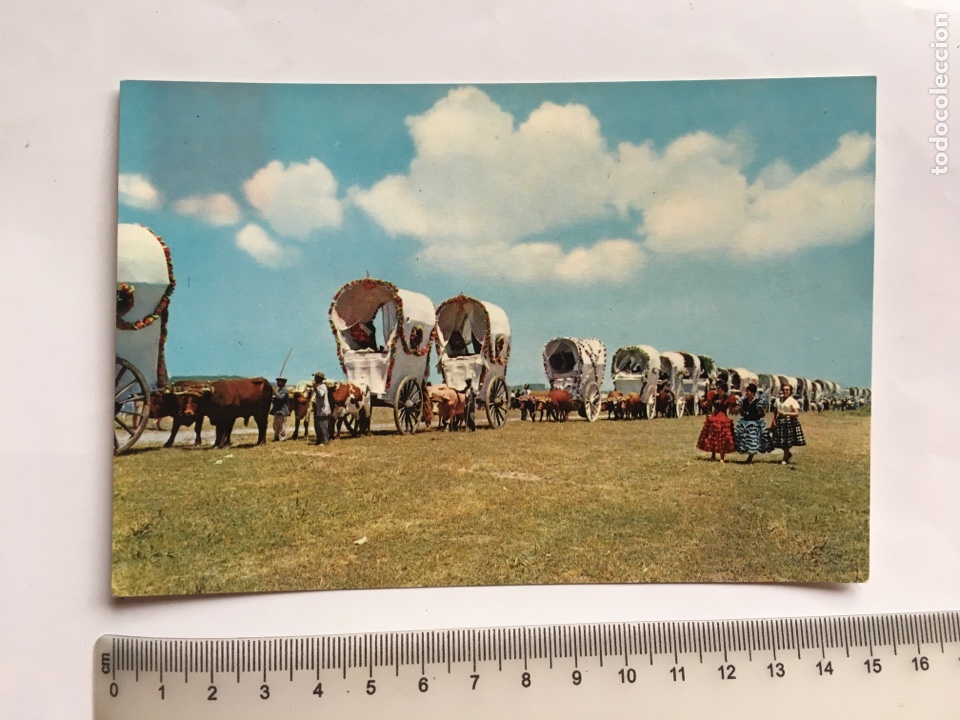 Postales: POSTAL. ANDALUCIA. ROMER&Iacute;A DEL ROCIO. CAMPA&Ntilde;A Y PUIG FERRAN.