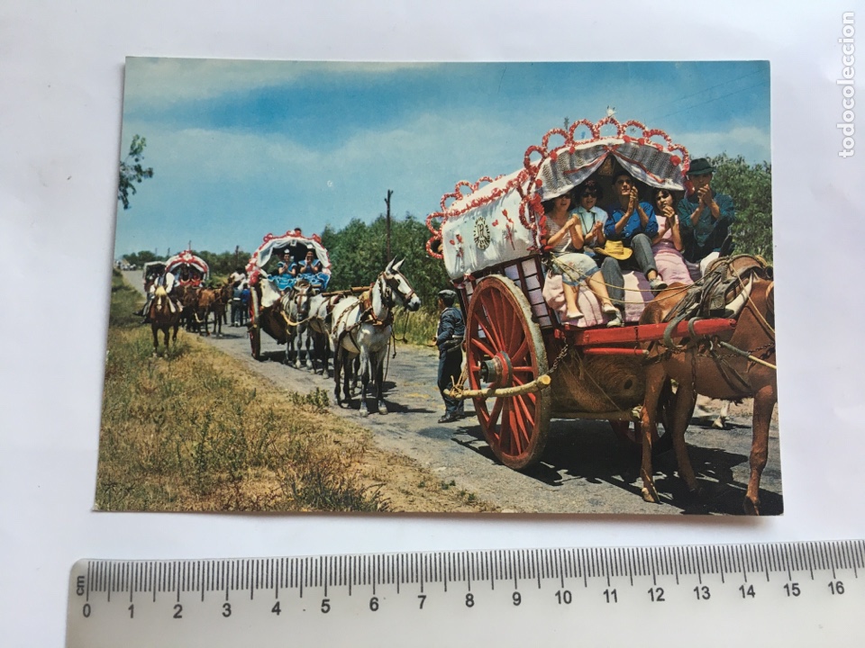 Postales: POSTAL. ANDALUCIA. ROMER&Iacute;A DEL ROCIO. GARC&Iacute;A GARRABELLA Y C&Iacute;A.