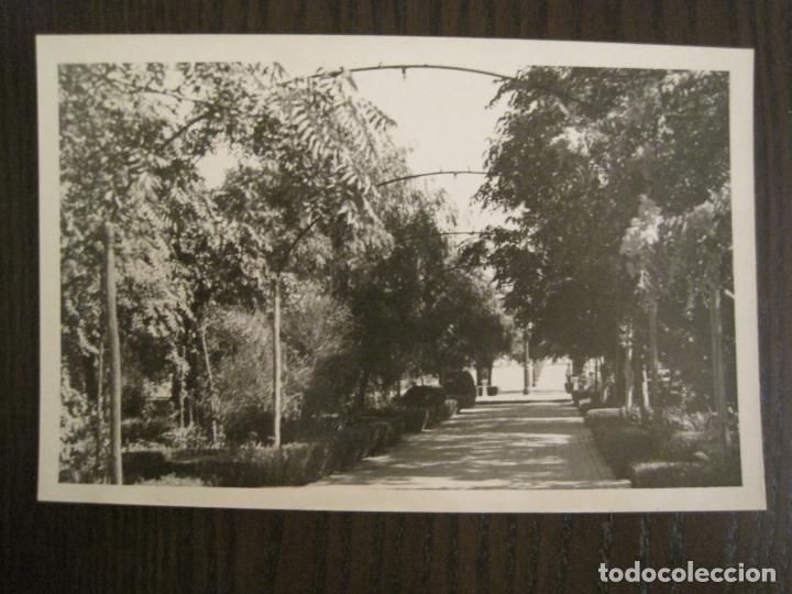 Postales: PORCUNA-JAEN-FOTO ORTEGA-POSTAL FOTOGRAFICA ANTIGUA-(68.916)