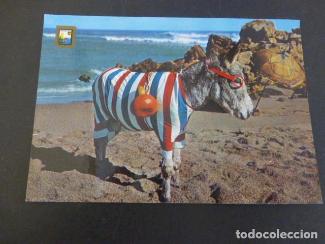 Postales: TORREMOLINOS MALAGA - Foto 1