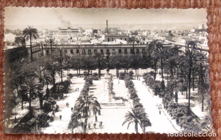 Postales: SEVILLA - PLAZA NUEVA - Foto 1