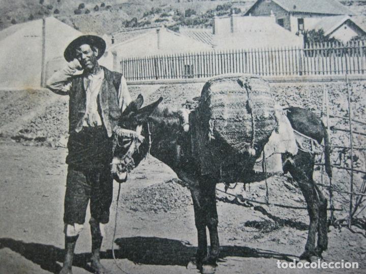 Postales: MALAGA-UN VERDULERO-POSTAL ANTIGUA-(69.260)