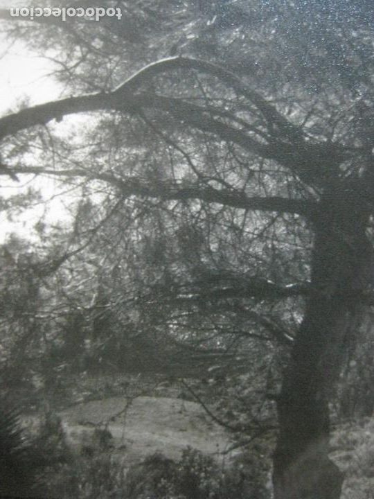 Postales: ALMU&Ntilde;ECAR-MIRADOR DEL CERRO GORDO-FOTOGRAFIA ANTIGUA-TAMA&Ntilde;O POSTAL-(69.367)