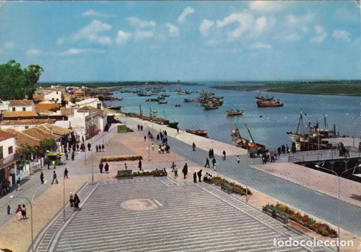 Postales: PUNTA UMBRIA - HUELVA- PUERTO - EDI.ARRIBAS - N&ordm; 2028 - SIN CIRCULAR