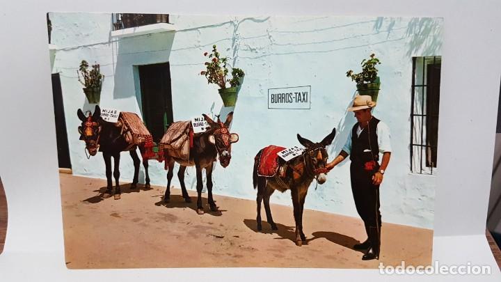 Postales: ANTIGUA POSTAL DE MALAGA. MIJAS. PARADA DE BURROS TAXI 1968