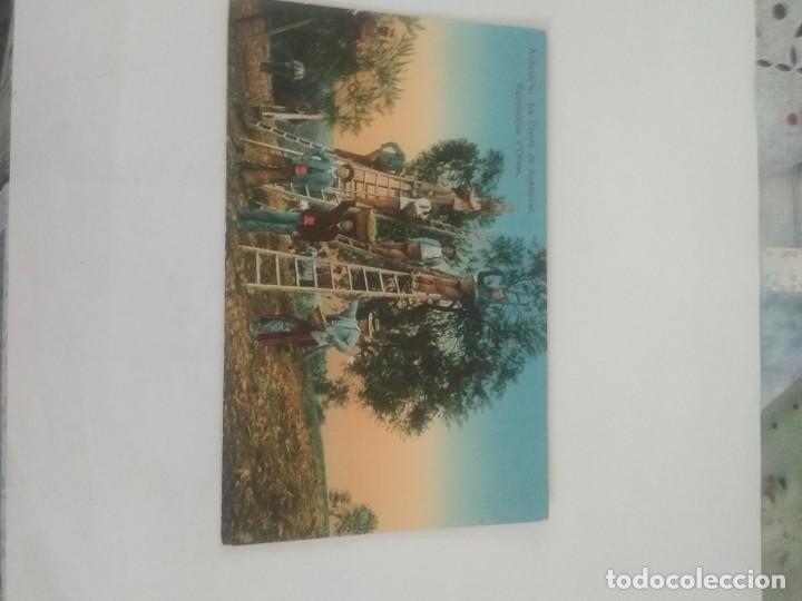 Postales: Postal de Sevilla del 1900 - Foto 1