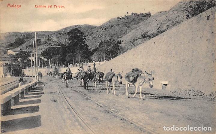 Postales: M&Aacute;LAGA.- CAMINO DEL PARQUE