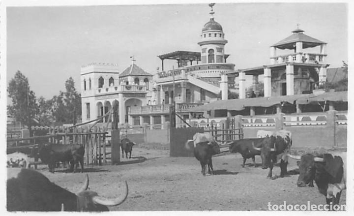 Postales: SEVILLA.- APARTADERO DE LAS RESES PARA TOREAR EN LA FERIA.- FOTOGR&Aacute;FICA