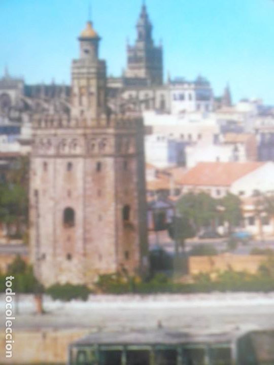 Postales: Sevilla , Torre del Oro. - Foto 2