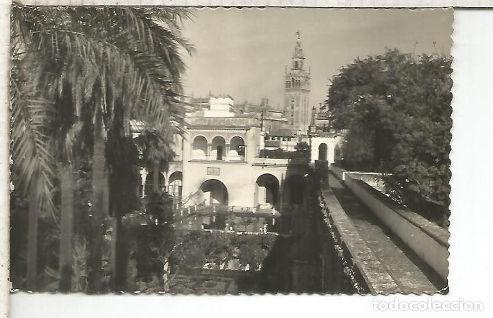 Postales: SEVILLA GIRALDA ESCRITA - Foto 1