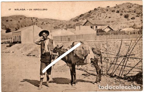 Cartoline: PRECIOSA POSTAL - MALAGA - VERDULERO - PUBLICIDAD