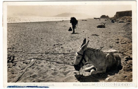Postales: BONITA POSTAL FOTOGRAFICA - ALREDEDORES DE MALAGA - PLAYAS - BA&Ntilde;OS DE SOL