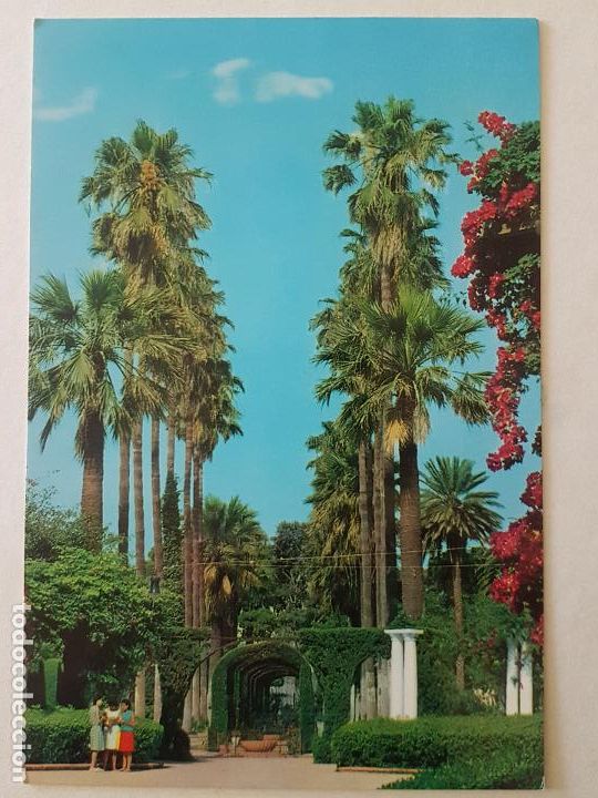 Postales: MELILLA PARQUE HERNANDEZ POSTAL - Foto 1