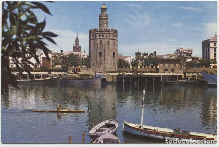 Postales: N&ordm; 13-SEVILLA. La Torre del Oro. Escrita en 1962. Ed. DISTRIBUIDOR PAPELER&Iacute;A DEL NORTE