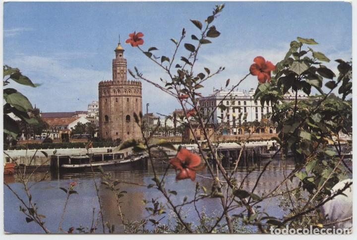 Postales: N&ordm; 15-SEVILLA. La Torre del Oro. Escrita en 1962. Ed. DISTRIBUIDOR PAPELES DEL NORTE