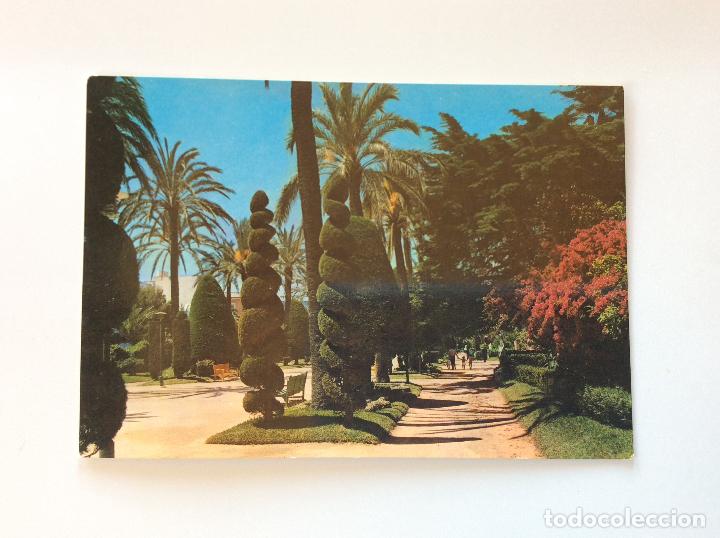 Postales: C&Aacute;DIZ - Foto 1