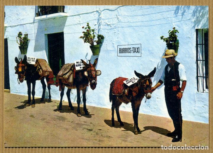 Postales: POSTAL MALAGA - MIJAS - Foto 1