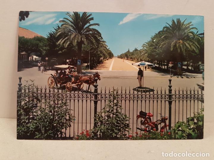 Postales: antigua postal cadiz sanlucar de barrameda paseo de la calzada sin circular