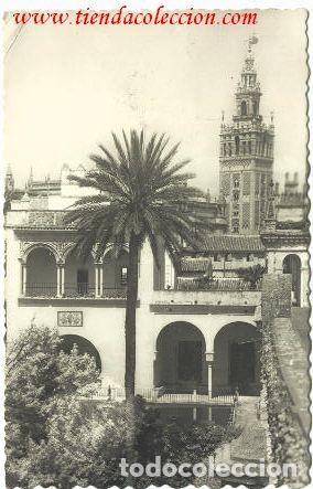 Postales: Sevilla.- Reales Alc&aacute;zeres. Galerias del Rey Don Pedro