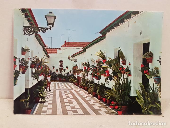 Postales: antigua postal malaga calle tipica del palo sin circular
