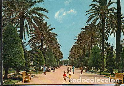Postales: POSTAL DE CADIZ PARQUE 1970 ANDALUCIA PALMERAS PALMS POSTCARD POSTKARTE CC02388