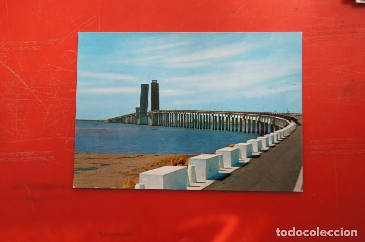 Postales: POSTAL DE CADIZ