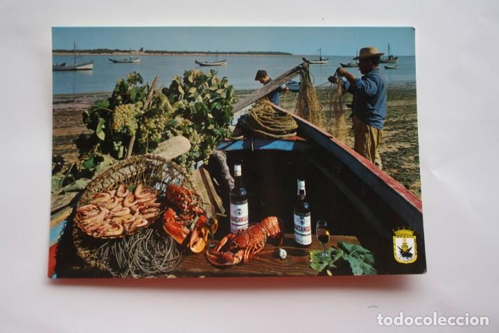 Postales: POSTAL DE SANLUCAR DE BARRAMEDA N&ordm; 6 - GUADALQUIVIR Y SANLUCAR .