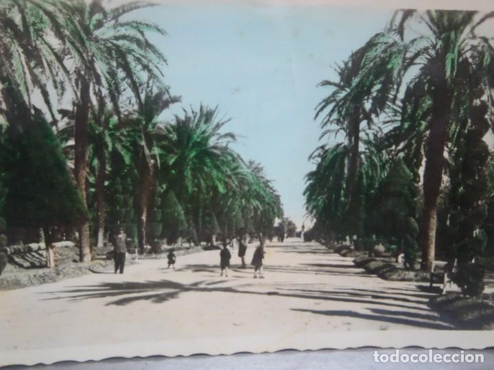 Postales: CADIZ - PARQUE DEL GENOVES
