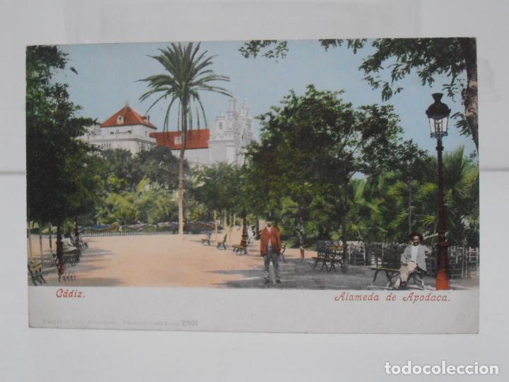 Postales: ANTIGUA POSTAL, CADIZ, ALAMEDA DE APODACA, UNION POSTAL DE CORREOS