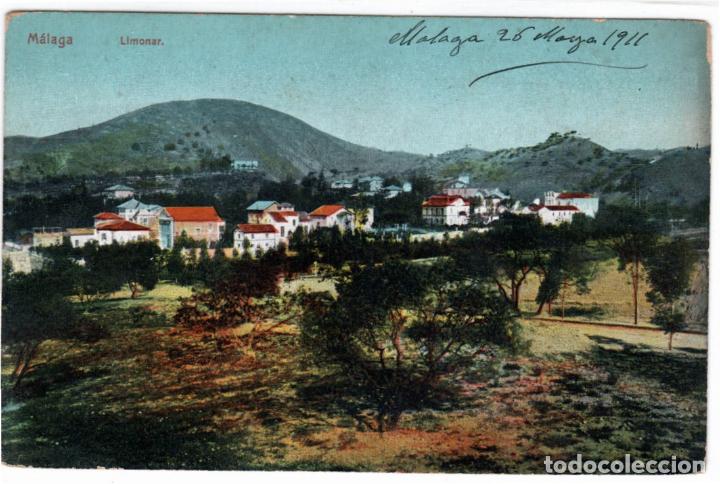 Postales: BONITA POSTAL - M&Aacute;LAGA - LIMONAR