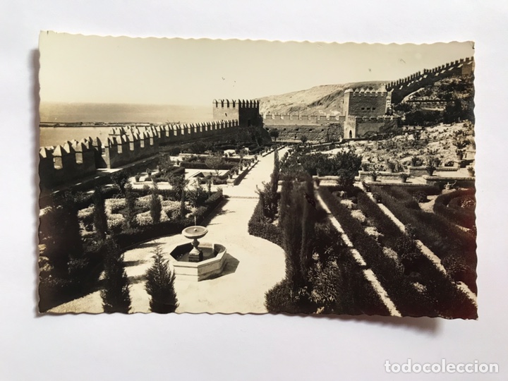Postales: ALMERIA. Postal No.44, Jardines de la Alcazaba. Edic. Arribas (a.1956) Escrita....