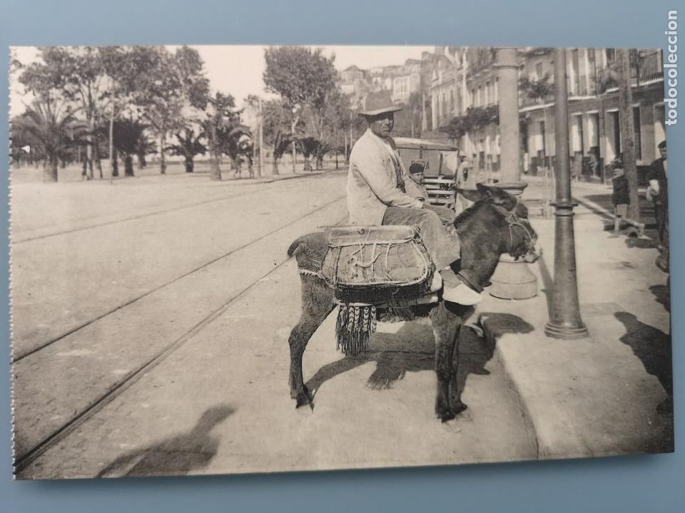 Postales: POSTAL MALAGA N&ordm; 97 VENDEDOR DE HUEVOS EN BURRO EDIC L. ROISIN PERFECTA CONSERVACION