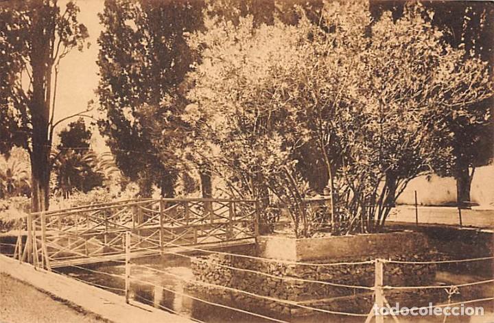 Postales: M&Aacute;LAGA.- EL RETIRO. ESTANQUE DE LA ADELFA