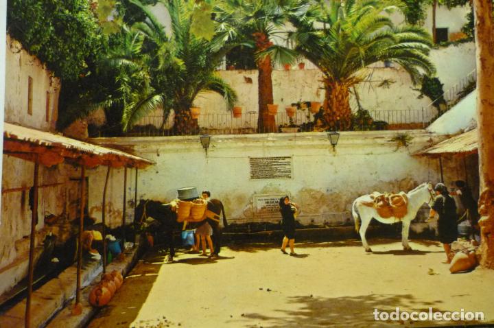 Postales: POSTAL MOJACAR -FUENTE ARABE CM