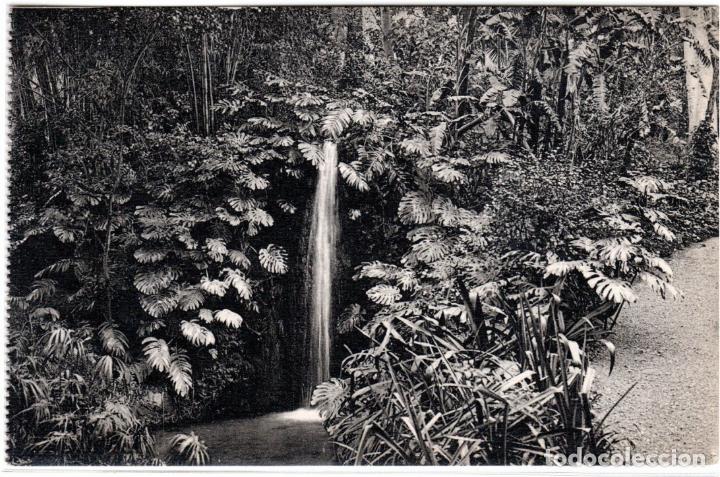 Postales: BONITA POSTAL - MALAGA - JARDINES DE LA CONCEPCION - CASCADA