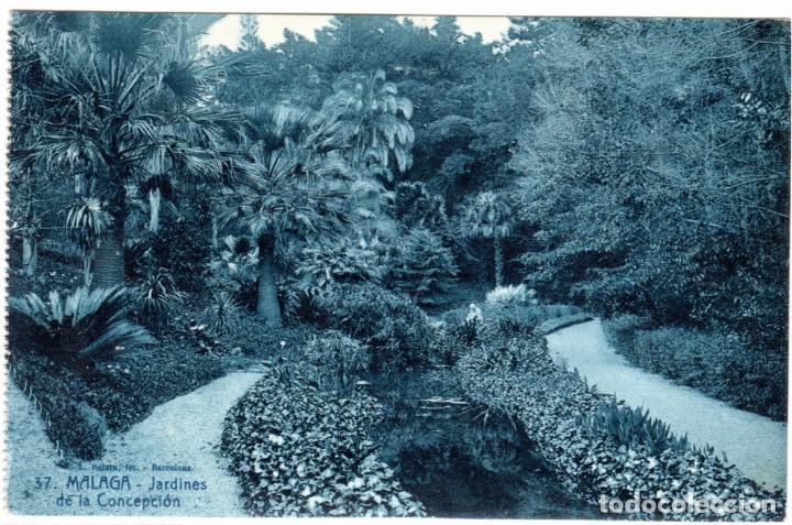 Postales: BONITA POSTAL - MALAGA - JARDINES DE LA CONCEPCION
