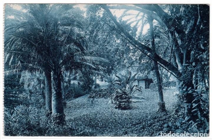 Postales: BONITA POSTAL - MALAGA - JARDINES DE LA CONCEPCION