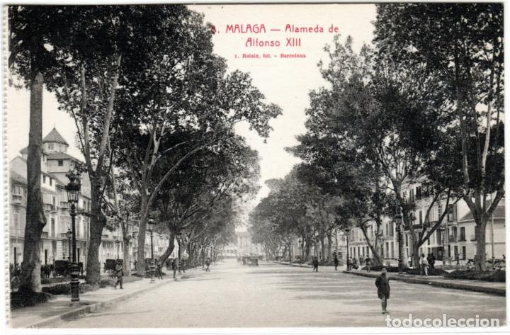 Postales: BONITA POSTAL - MALAGA - ALAMEDA DE ALFONSO XIII