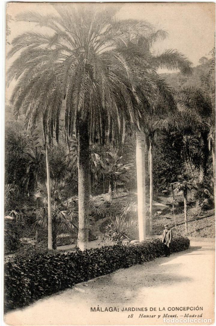 Postales: BONITA POSTAL - MALAGA - JARDINES DE LA CONCEPCION - HAUSER Y MENET