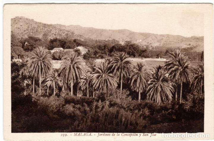 Postales: BONITA POSTAL - MALAGA - JARDINES DE LA CONCEPCION Y SAN JOSE
