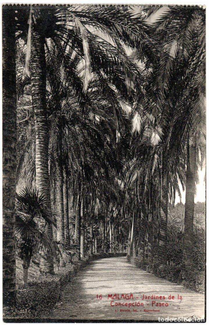 Postales: BONITA POSTAL - MALAGA - JARDINES DE LA CONCEPCION - PASEO