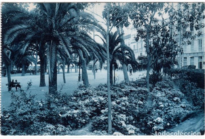 Postales: BONITA POSTAL - MALAGA - PARQUE