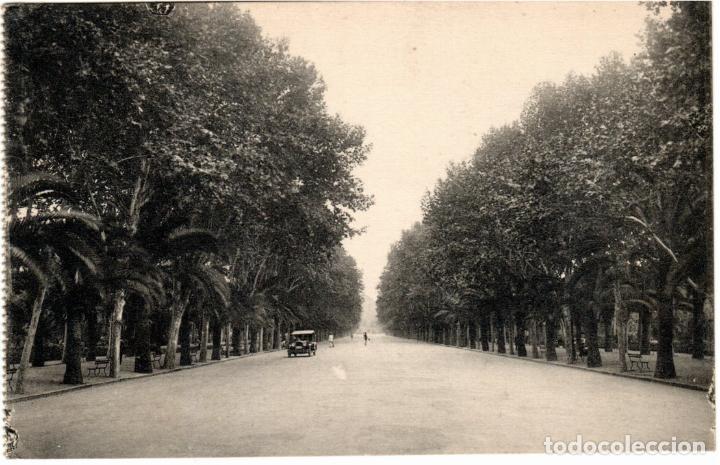 Postales: BONITA POSTAL - MALAGA - PASEO DEL PARQUE