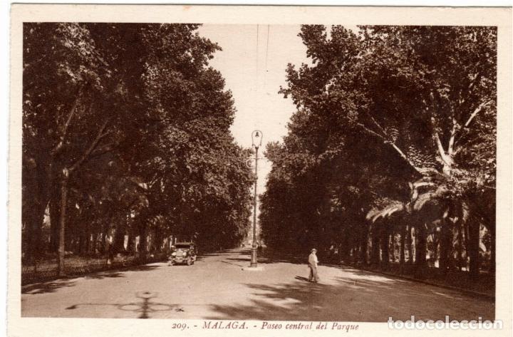 Postales: BONITA POSTAL - MALAGA - PASEO CENTRAL DEL PARQUE