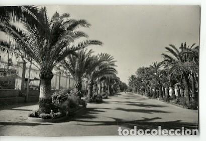 Postcards: ANTIGUA POSTAL 9 PUERTO DE SANTA MARIA PARQUE DE CALDERON 1959